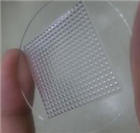 塑料3D细胞培养片C-Well